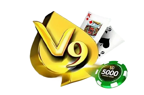 v9-1-img
